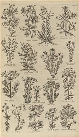 HILL, John (1716?-1775) - The British Herbal: An History of Plants and Trees. L