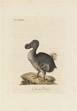 LATHAM, John (1740-1837) - A General History of British Birds. Winchester: Jaco
