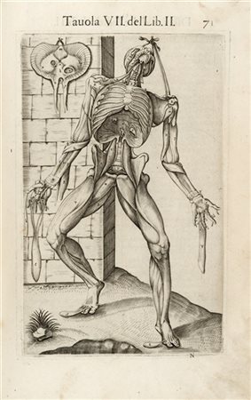 VALVERDE, Juan De (attivo 1560) - Anatomia del corpo umano. Roma: Antonio Salam