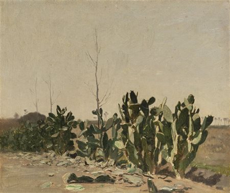 Alberto Pasini "Cactus (Cairo)" 
olio su tela (cm 32x39)
Al retro: iscrizione pe