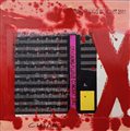 Giuseppe Chiari CRACKING FLUXUS CONCERT 2002 tecnica mista e collage su...