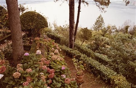 Vincenzo Castella Giardino 1983

Stampa fotografica vintage a colori procediment