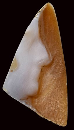 A rare fragment of an  unfinished large roman agate cameo. Imperial portrait. 