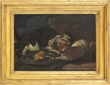 Gatto e cane litigano intorno a un piatto di cibo 