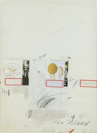 CY TWOMBLY
Natural History Part I No. I, 1974