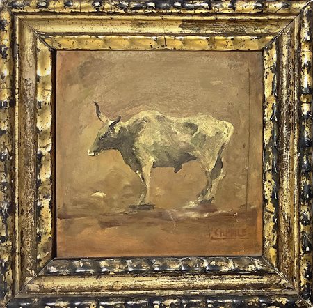 Dipinto ad olio su cartone raffigurante toro. Vincenzo Caprile (Napoli, 1856-...