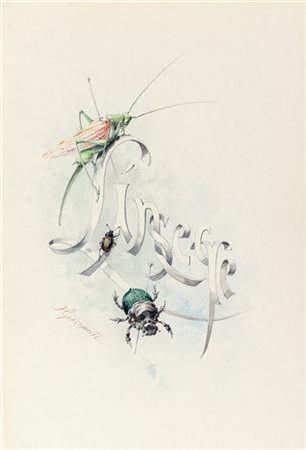 [GIACOMELLI; illustratore] - MICHELET, J. - L'Insecte. Parigi: Hachette, 1876.