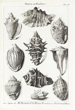 DEZALLIER D'ARGENVILLE, Antoine Joseph (1680-1765) - L'Histoire naturelle eclai