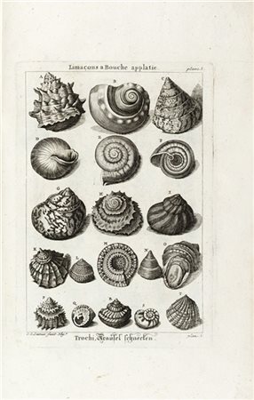 DEZALLIER D'ARGENVILLE, Antoine Joseph (1680-1765) - Conchyliologie oder Abhand