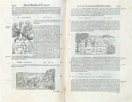 MATTIOLI, Pietro Andrea (1501-1577) - Commentarii in libros sex Pedacii Dioscor