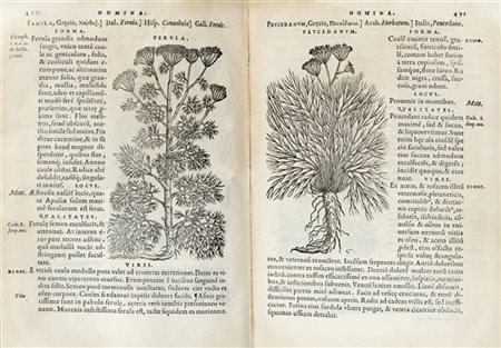 MATTIOLI, Pietro Andrea (1501-1577) - Compendium de plantis omnibus. Venezia: O