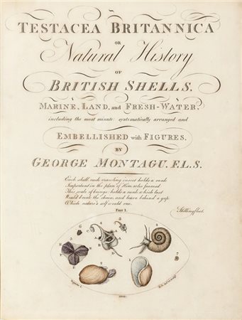 MONTAGU, George (1753-1815) - Testacea Britannica. Londra: J.S. Hollis, 1803.