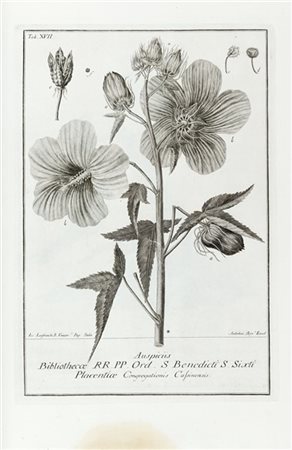 SCOPOLI, Giovanni Antonio (1723-1788) - Deliciae florae et faunae Insubricae, s