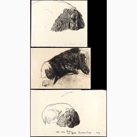 Tre disegni con studio di Cane Cocker, 1919