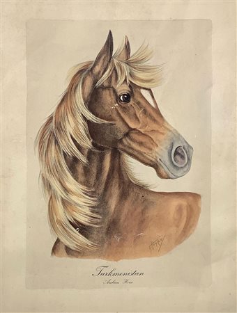 Disegno su carta raffigurante cavallo Turkmenistan. Arabian Horse. Cm...