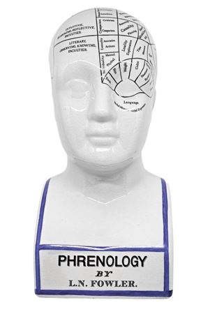 Testa in ceramica , Phrenology by L.N. Fowler. H cm 29