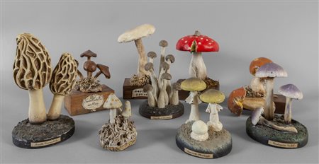 Collezioni di dieci funghi in materiali diversi 