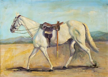 Pittore degli inizi del XX secolo - Cavallo bianco - Firmato in basso a...