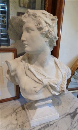 Busto in gesso raffigurante giovane, 