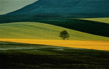 Franco Fontana (1933)  - Paesaggio, Basilicata, 1978