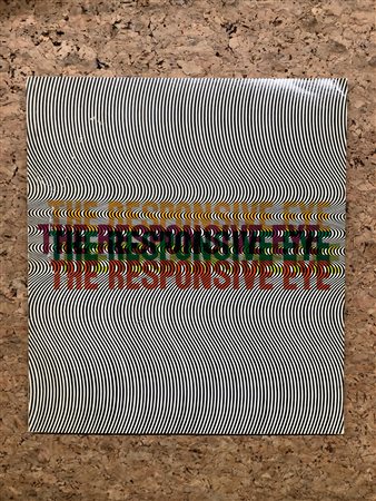 OPTICAL ART, GRAV, ARTE CINETCA - The responsive eye, 1965