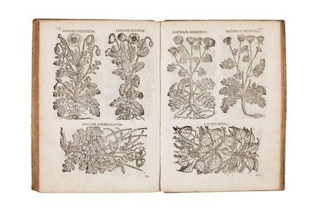 Botanica / Spielmann, Jakob Reinhold - Pharmacopoea generalis