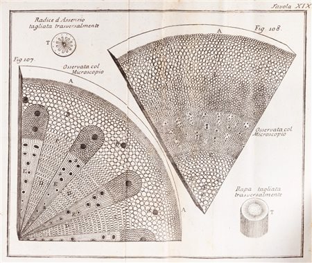 Filosofia / Martin, Benjamin - Gramatica delle scienze filosofiche, o breve analisi della filosofia moderna