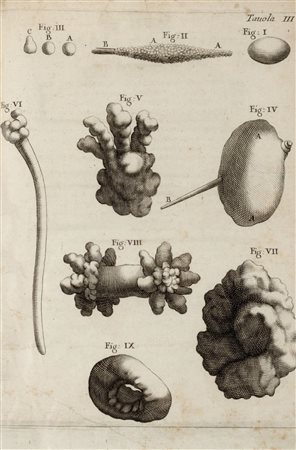 Medicina / Alghisi, Tommaso - Litotomia Ovvero del Cavar la Pietra