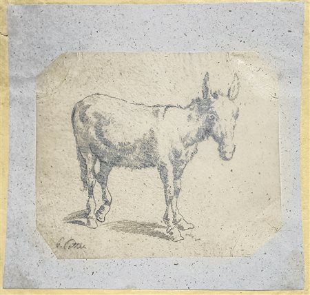 Disegno a matita su carta velina raffigurante asino firmato in basso a destra George Patten 1801-1805. h 110x 130 mm