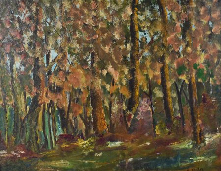 M. Coda IL BOSCO olio su cartone telato, cm 45x60 firma