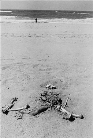 Leonard Freed (1929-2006)  - Gaza Strip. A dead Egyptian soldier lays on a beach during the Six Day War., 1967