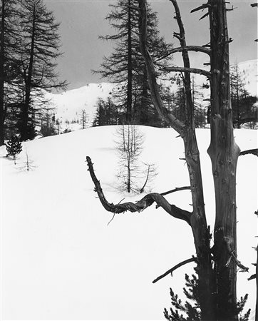 Kurt Markus (1947)  - Valdosta, Georgia, 1991