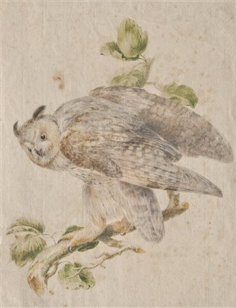 Maler des frühen 19. Jh./Pittore del primo Ottocento Gufo;Acquerello, 50 x...