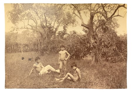 Wilhelm von Gloeden (1856-1931), foto al collodio raffigurante tre giovani in giardino con alberi di ulivo. Numerata 109