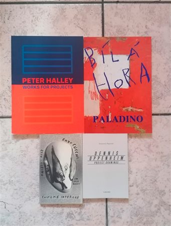 ARTISTI VARI ( OPPENHEIM, CUCCHI, PALADINO, HALLEY)
- Lotto unico di 4 cataloghi