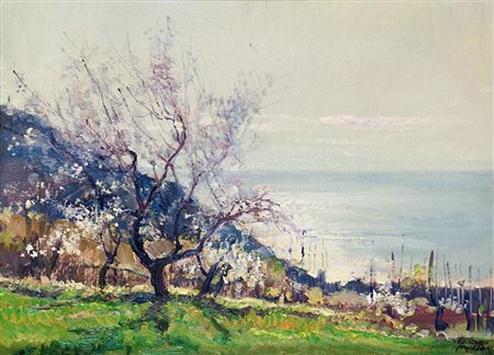 MUSSO CARLO Balangero (TO) 1907 - 1968 "Primavera" 30x40,5 olio su cartone...