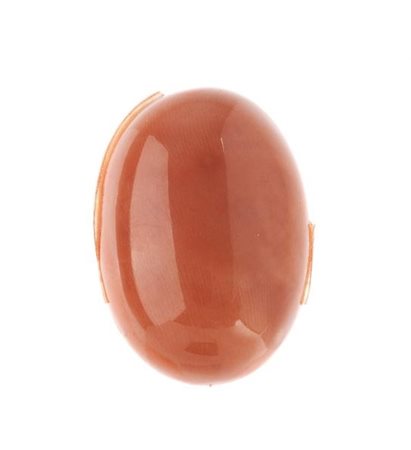 CORALLO ROSSO di forma ovale, taglio cabochon, mm 25x18x8, g 5,37