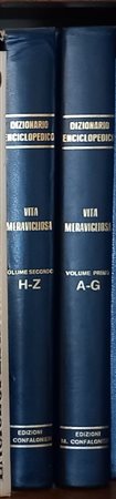 Dizionario Enciclopedico Vita Meravigliosa