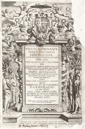 ALDROVANDI, Ulisse (1522-1605) - Dendrologiae naturalis scilicet arborum histor