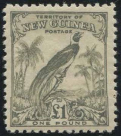 1932, New Guinea, Bird of Paradise, 