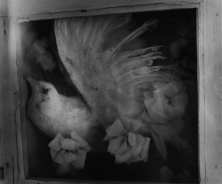 Clarence John Laughlin (1905-1985)  - Bird of the Death Dream, 1953