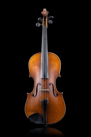 Violino della scuola di Markneukirchen, 1910-20 ca.
Fondo in due pezzi con mare