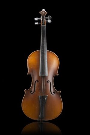 Violino di Jérôme Thibouville-Lamy, Mirecourt 1910-20 ca.
Fondo in un sol pezzo