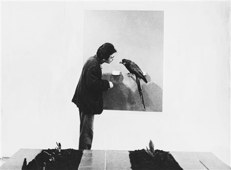 (rif.) Jannis Kounellis - Kounellis alla Galleria Iolas, 1968