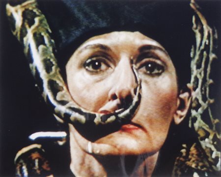 Marina Abramovic (Belgrad/Belgrado 1946) Dragon Head, 1990;fotografia a col.,...