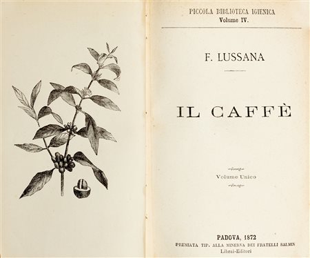 Storia del caffè - Miscellanea - Lussana, Filippo - Il caffè