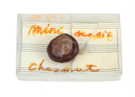 PHILIP CORNER Mini music chestnut, 2012 scatola in plastica con castagna e...