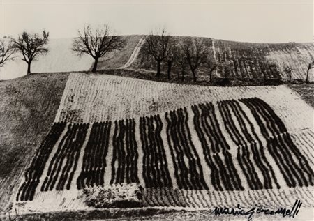 Mario Giacomelli (1925-2000)  - Paesaggio, 1975/1985