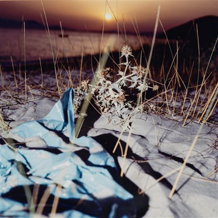 Margherita Del Piano (1964)  - Dune I, 2005