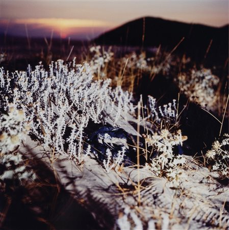 Margherita Del Piano (1964)  - Dune 2, 2005